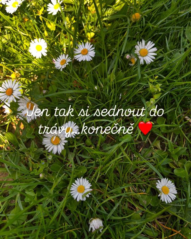 Konečně jaro v plném proudu ❤️. #welovespring #kvetiny #milujemejaro